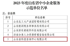 公司入選山東省中小(xiǎo)企業服務示範單位