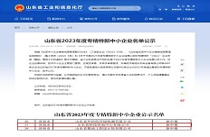 公司通過2023年省級“專精特新”中小(xiǎo)企業認定